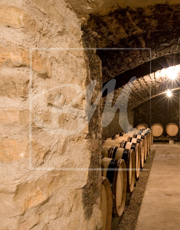 Domaine Yves Boyer Martenot
