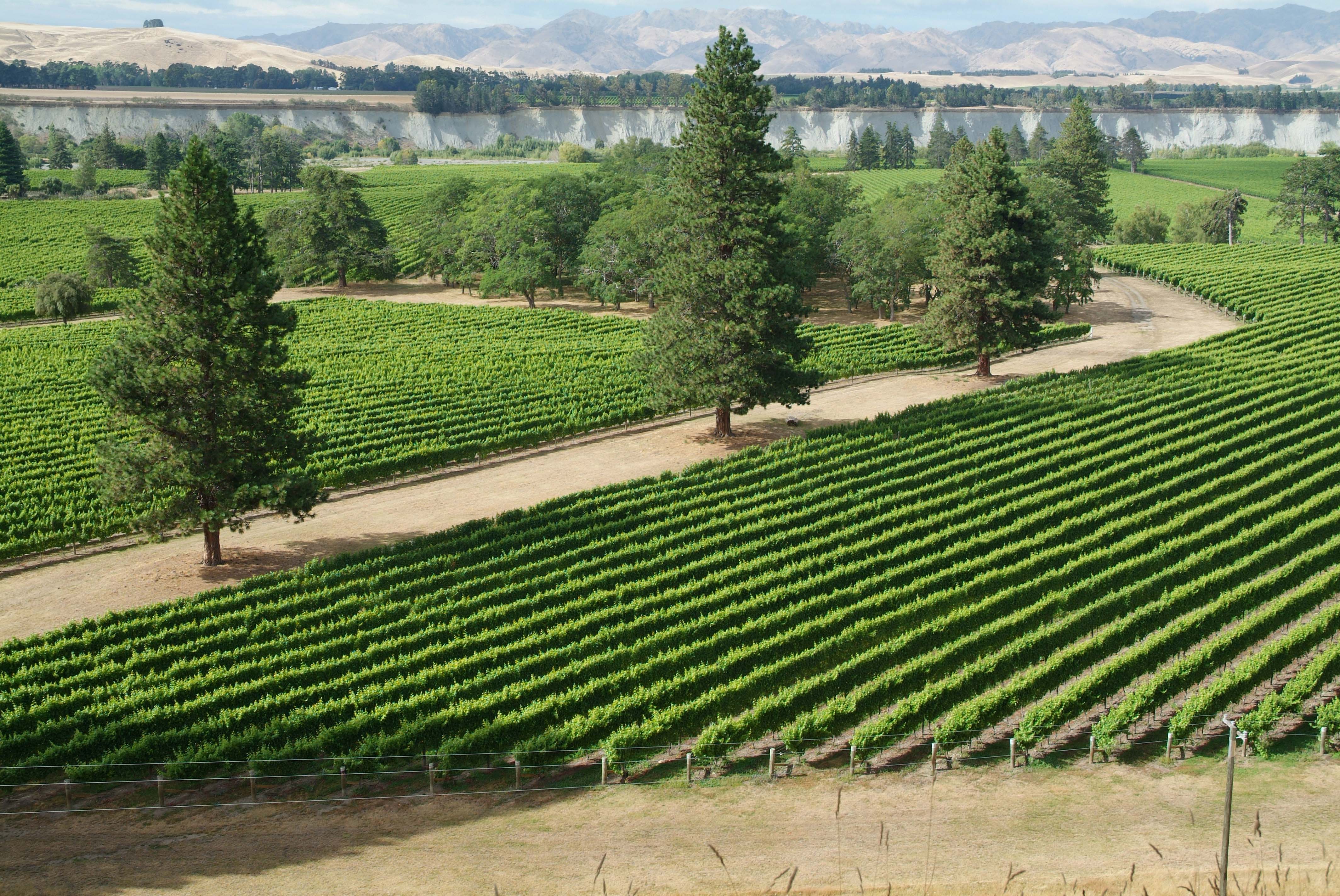 Crossing Winery New Zealand Crossing Winery New Zealand