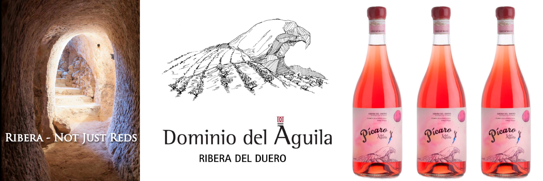 Dominio del Aguila Ribera Clarete