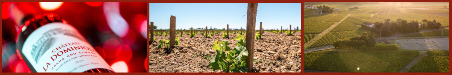 Chateau La Dominique Vineyard