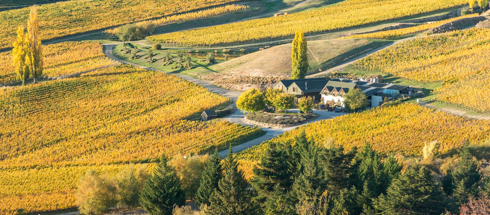 Felton Road - Winery and the surrounding “The Elms” vineyard