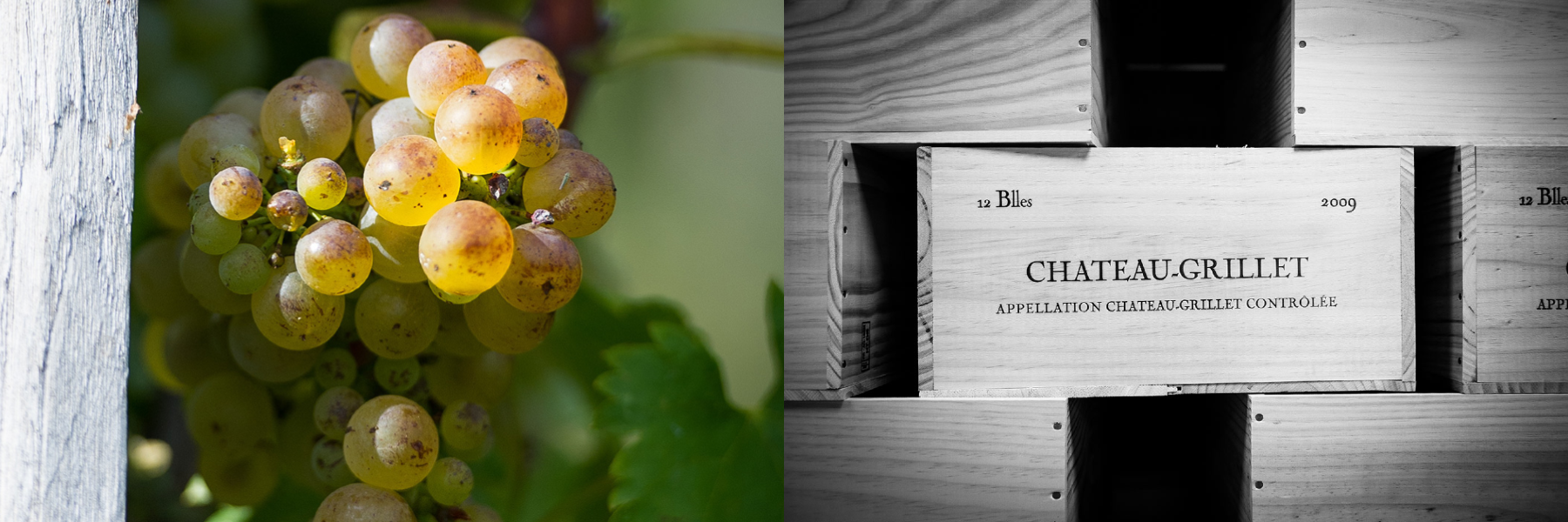 Viognier Grapes & Château Grillet Cases