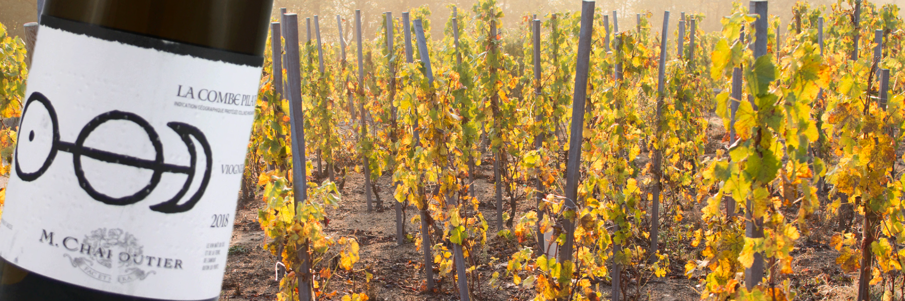 Chapoutier La Combe Pilate Viognier & Viognier Vines