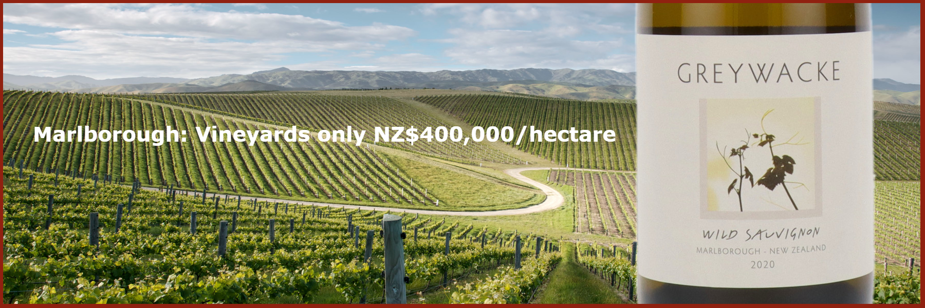 Buy Greywacke Wild Sauvignon Blanc £29.99/bottle