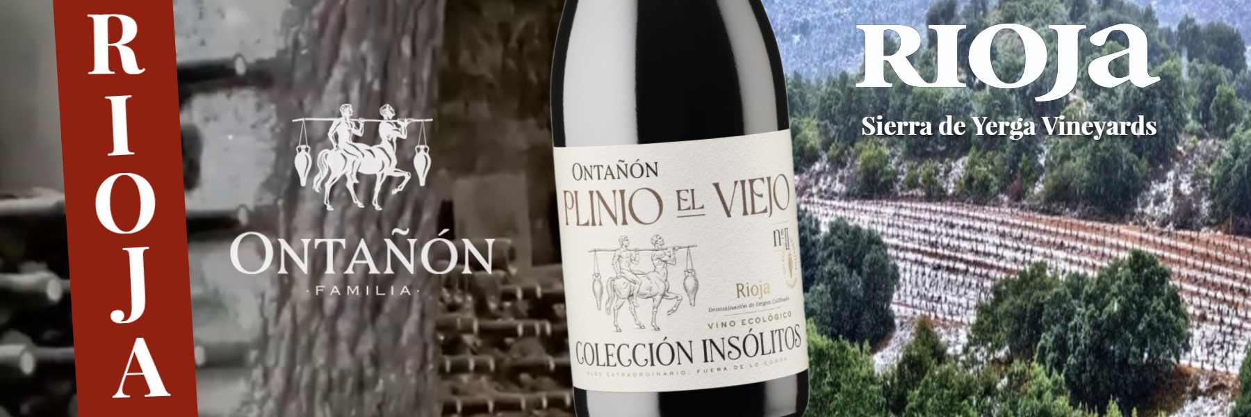 Ontanon's organic Andañal vineyards in the Sierra de Yergas Ontanon's organic Andañal vineyards in the Sierra de Yergas