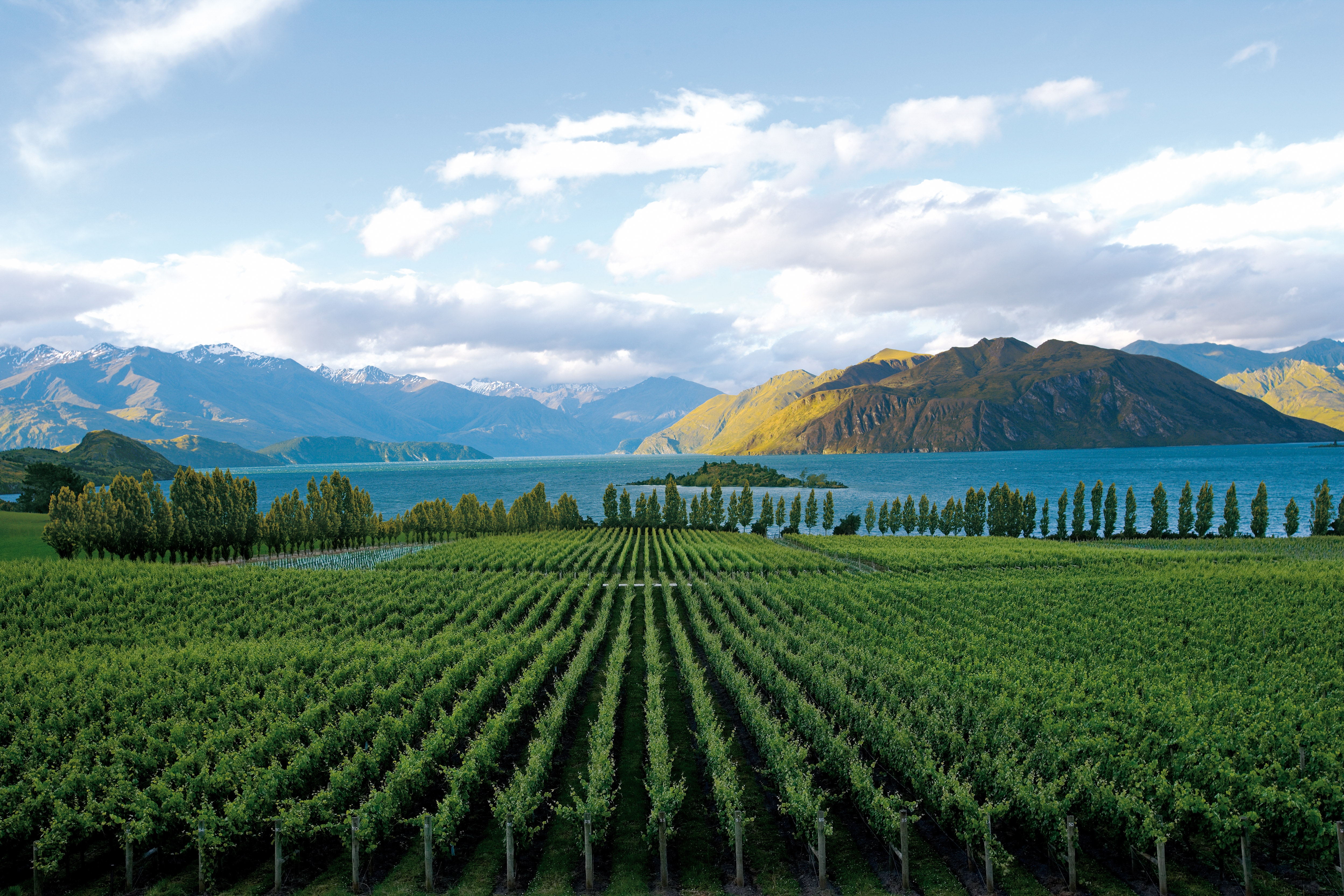 Rippon Vineyard - Lake Wanaka - Central Otago