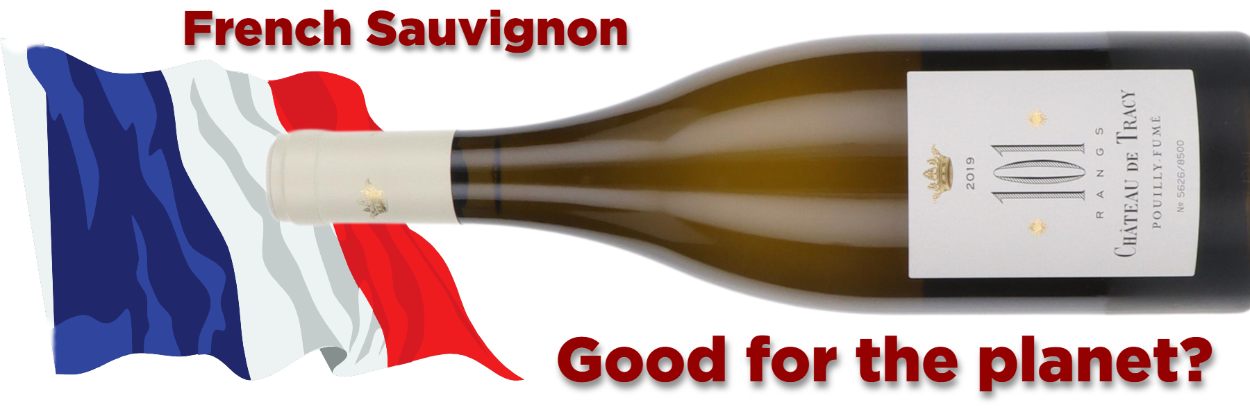 French Sauvignon - Chateau de Tracy 101 Rangs Pouilly Fume