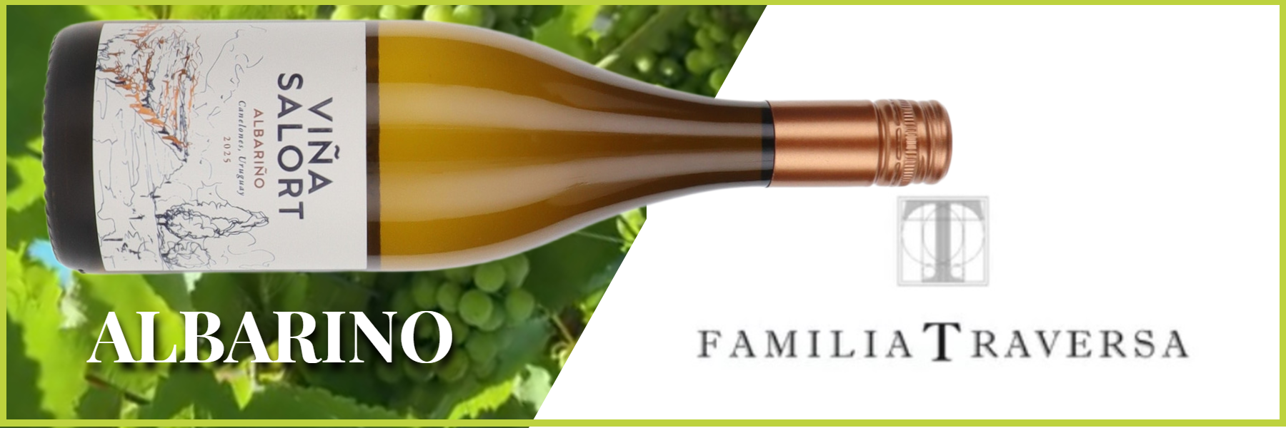 Vina Salort Albarino from Frazier Jones Wine Merchants Vina Salort Albarino from Frazier Jones Wine Merchants