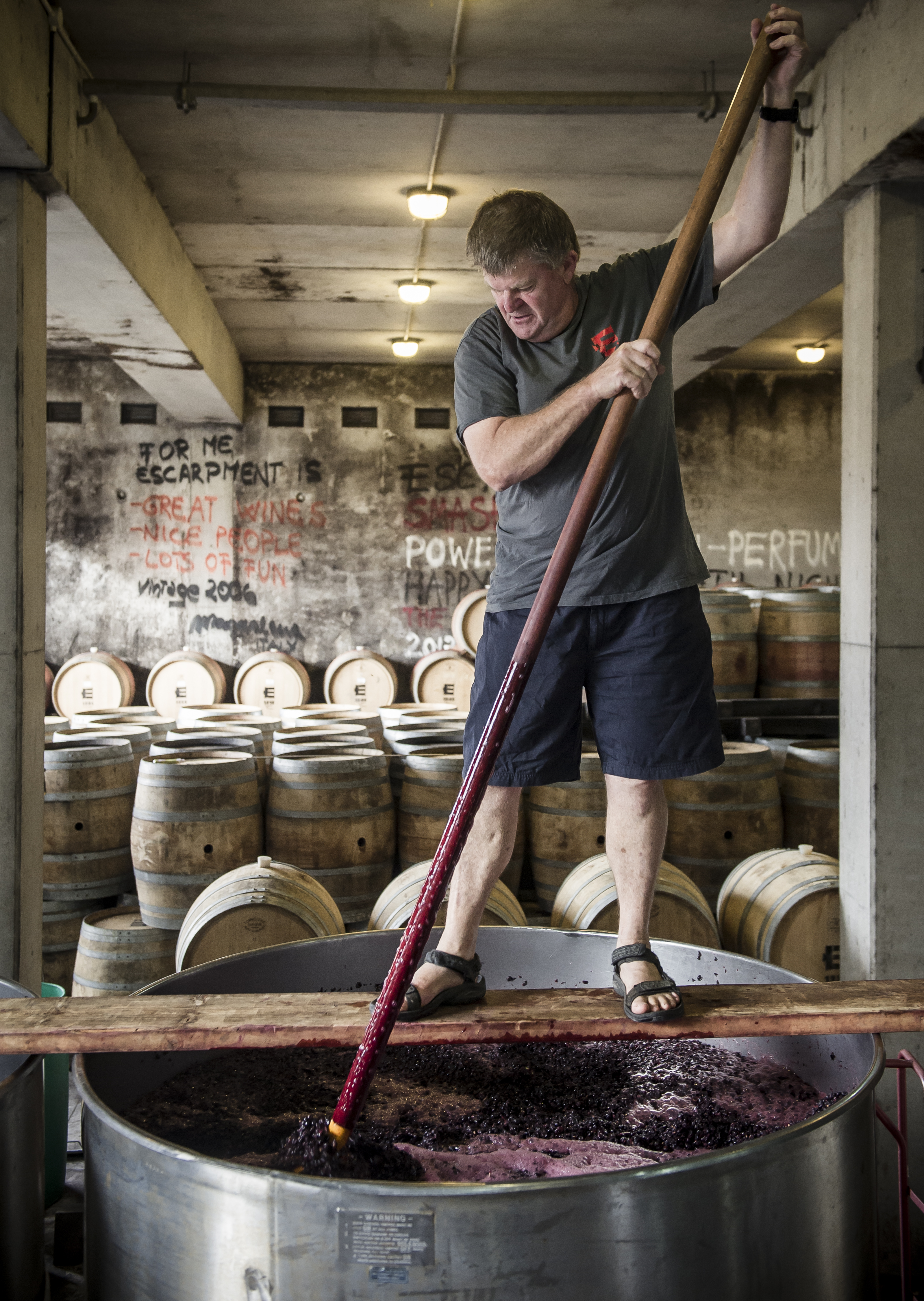 Larry McKenna working the Pinot Noir at Escarpment - Martinborough